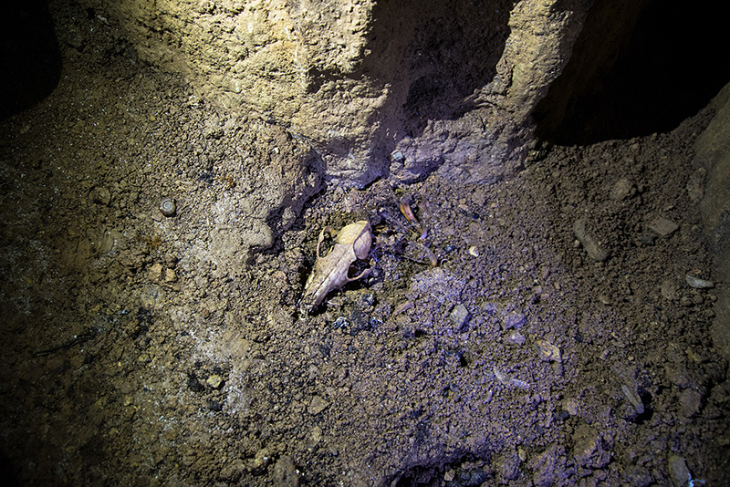 La Cueva Sepulcral De Txispiri Al Monte Para Que